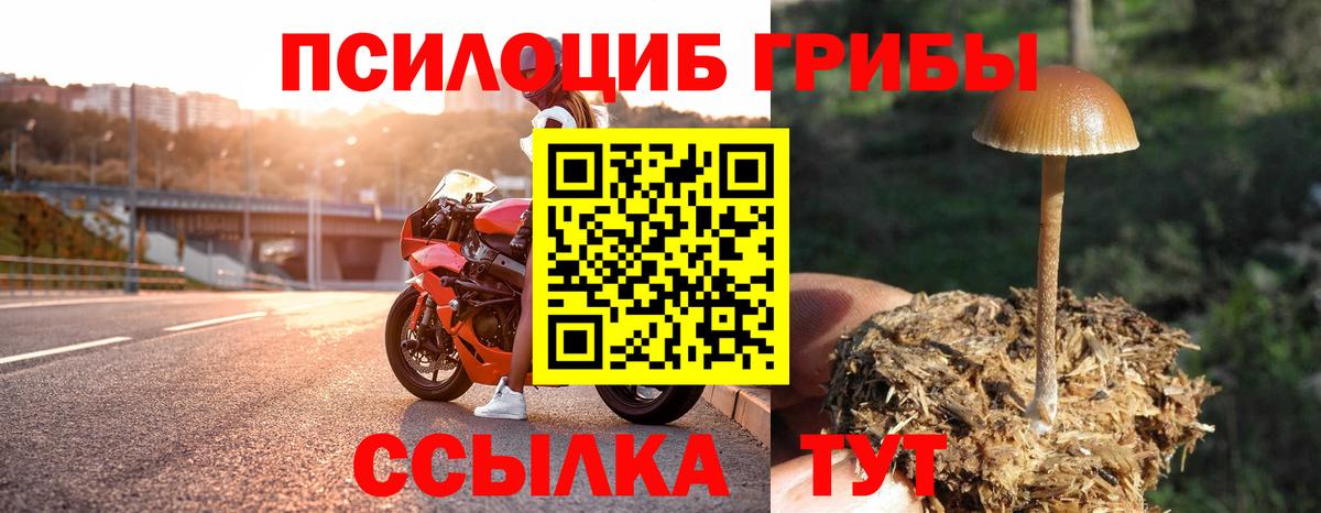 Галлюциногенные грибы Cubensis Железноводск