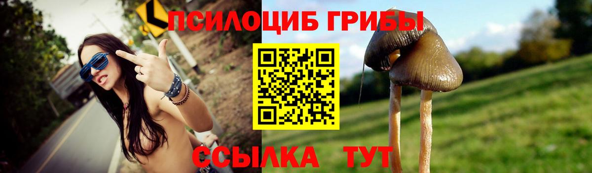 Железноводск  Псилоцибиновые грибы Psilocybe  где можно купить наркотик  Вход с VPN 